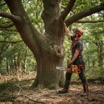 Comment se déroule un chantier avec Bouilly Élagage Paysage ?